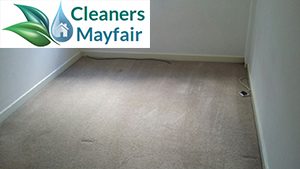 carpet cleaners mayfair