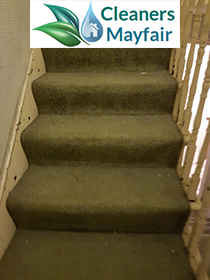 carpet cleaning mayfair