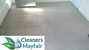 carpet cleaning services in mayfair